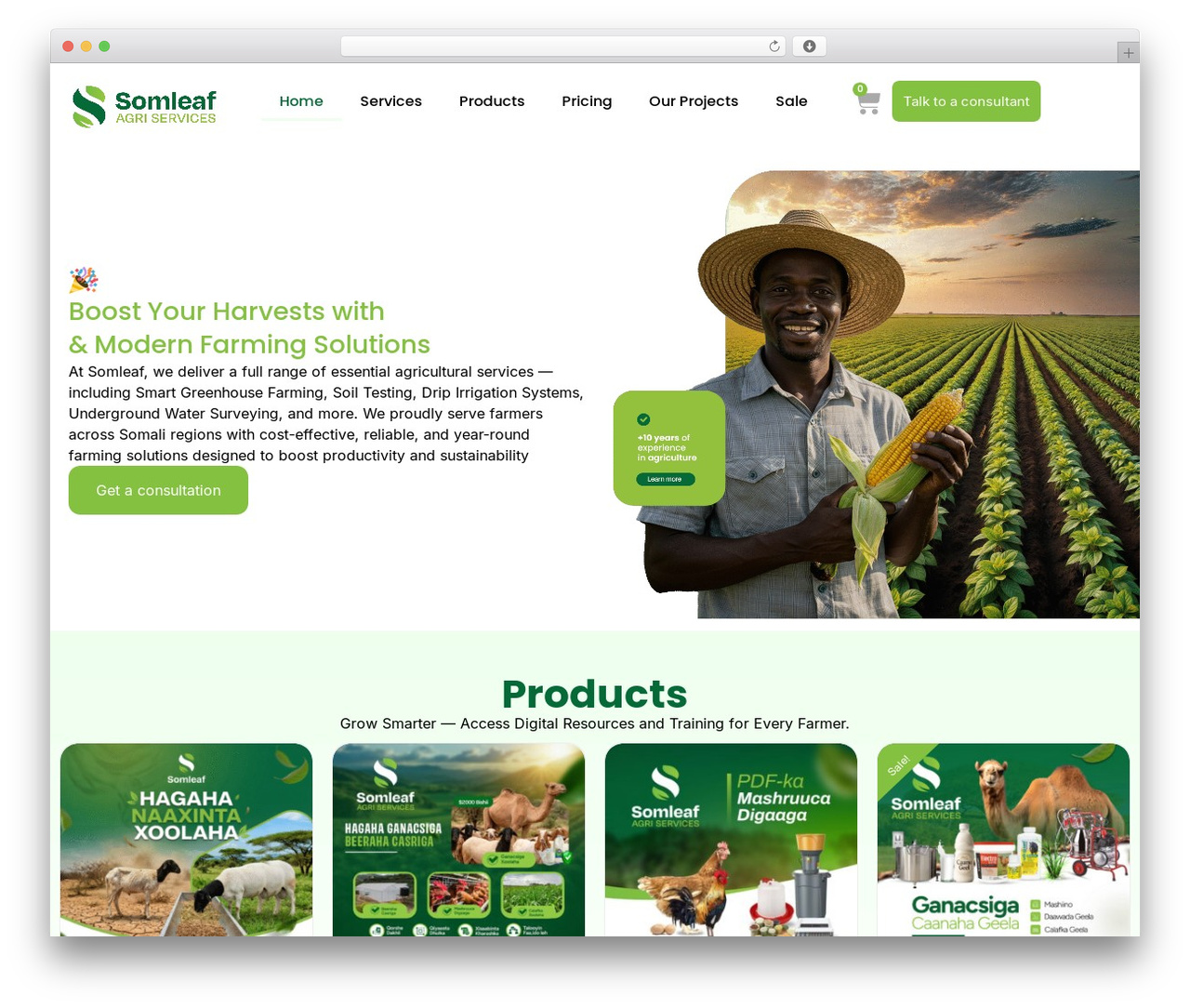 WordPress theme Hello Elementor - somleaf.com WordPress theme Hello Elementor - somleaf.com