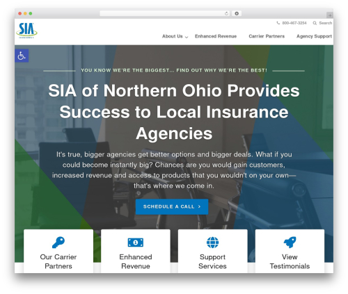 Conversion cards WordPress plugin - siaoh.com