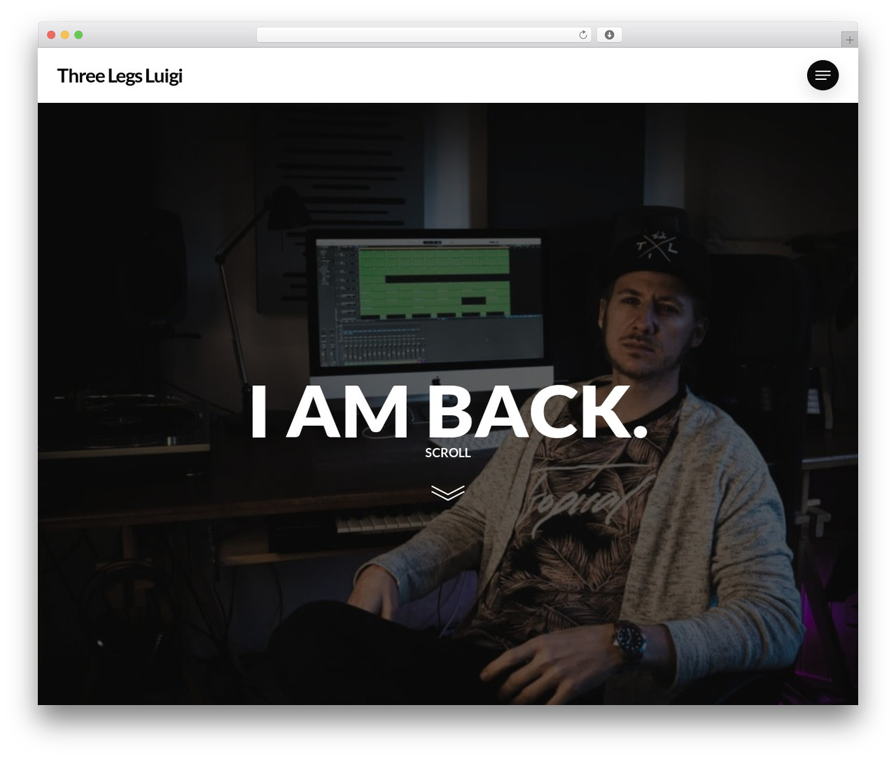 WordPress theme Salient - threelegsluigi.com