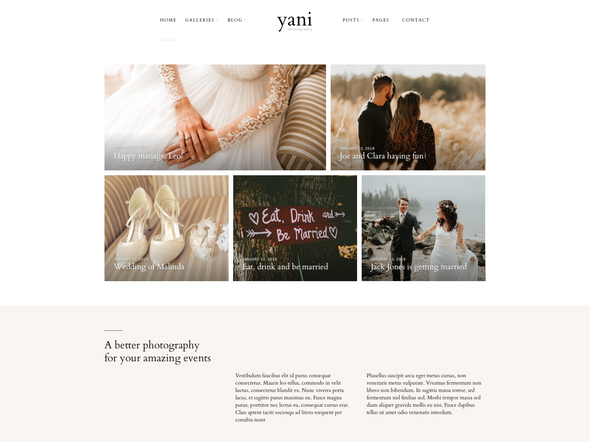Yani theme WordPress by TouchSize