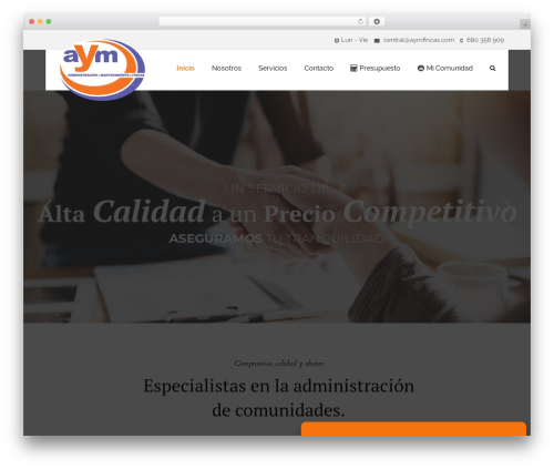 Auditing WordPress theme - aymfincas.com