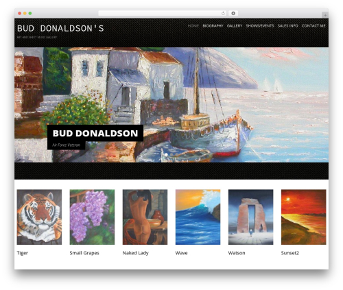 cherry WordPress theme image - buddonaldson.com