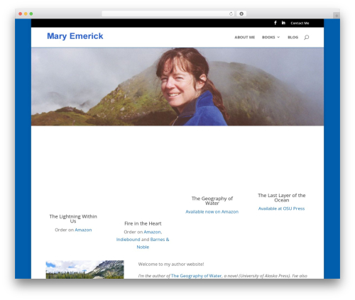 Divi theme WordPress - maryemerick.com