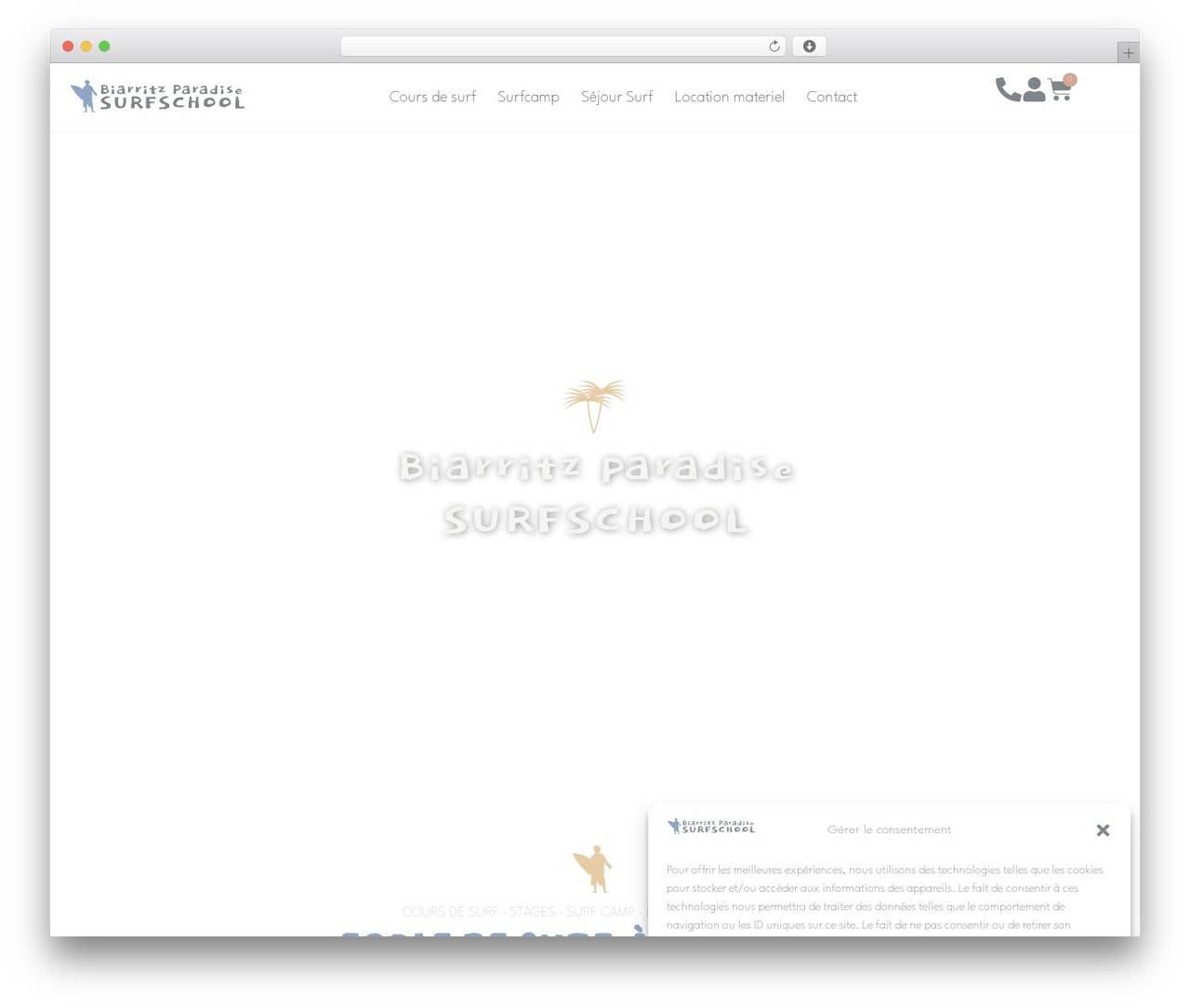 Theme WordPress Hello Elementor - biarritzparadisesurfschool.com