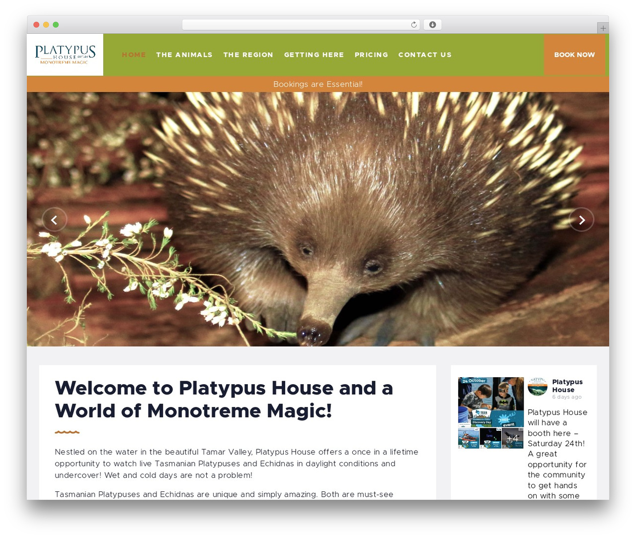 WordPress theme Briny - platypushouse.com.au