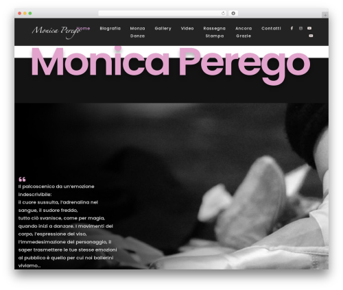 Litho addons WordPress plugin - monicaperego.com