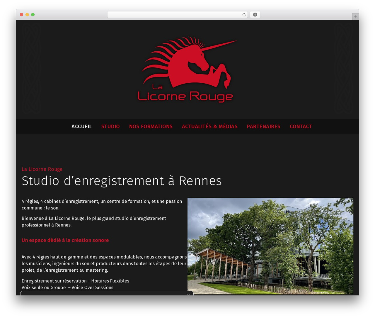 Theme WordPress Hello Elementor - licornerouge.com