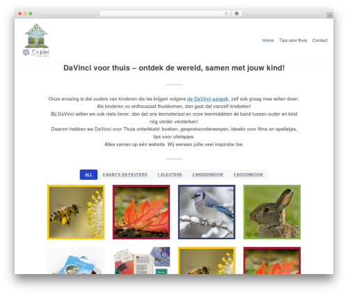 Theme WordPress neve - davincivoorthuis.nl