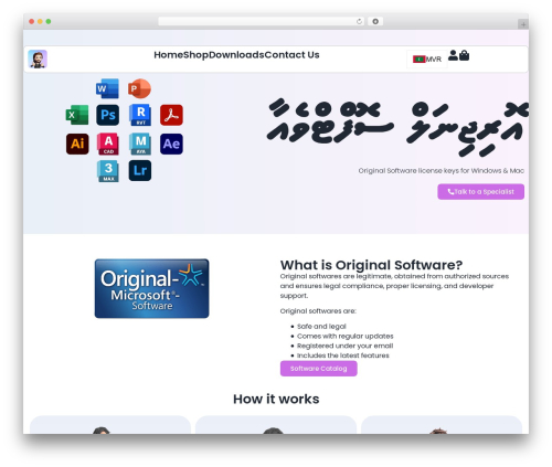 X currency WordPress plugin - www.isahmed.com
