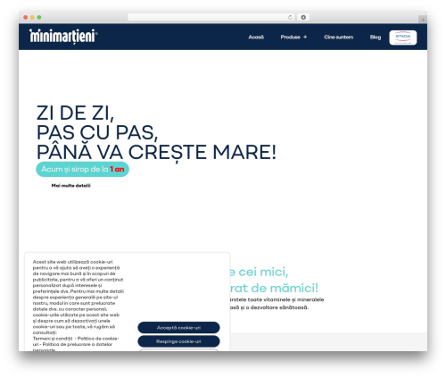 Hello Elementor best WordPress theme - minimartieni.ro