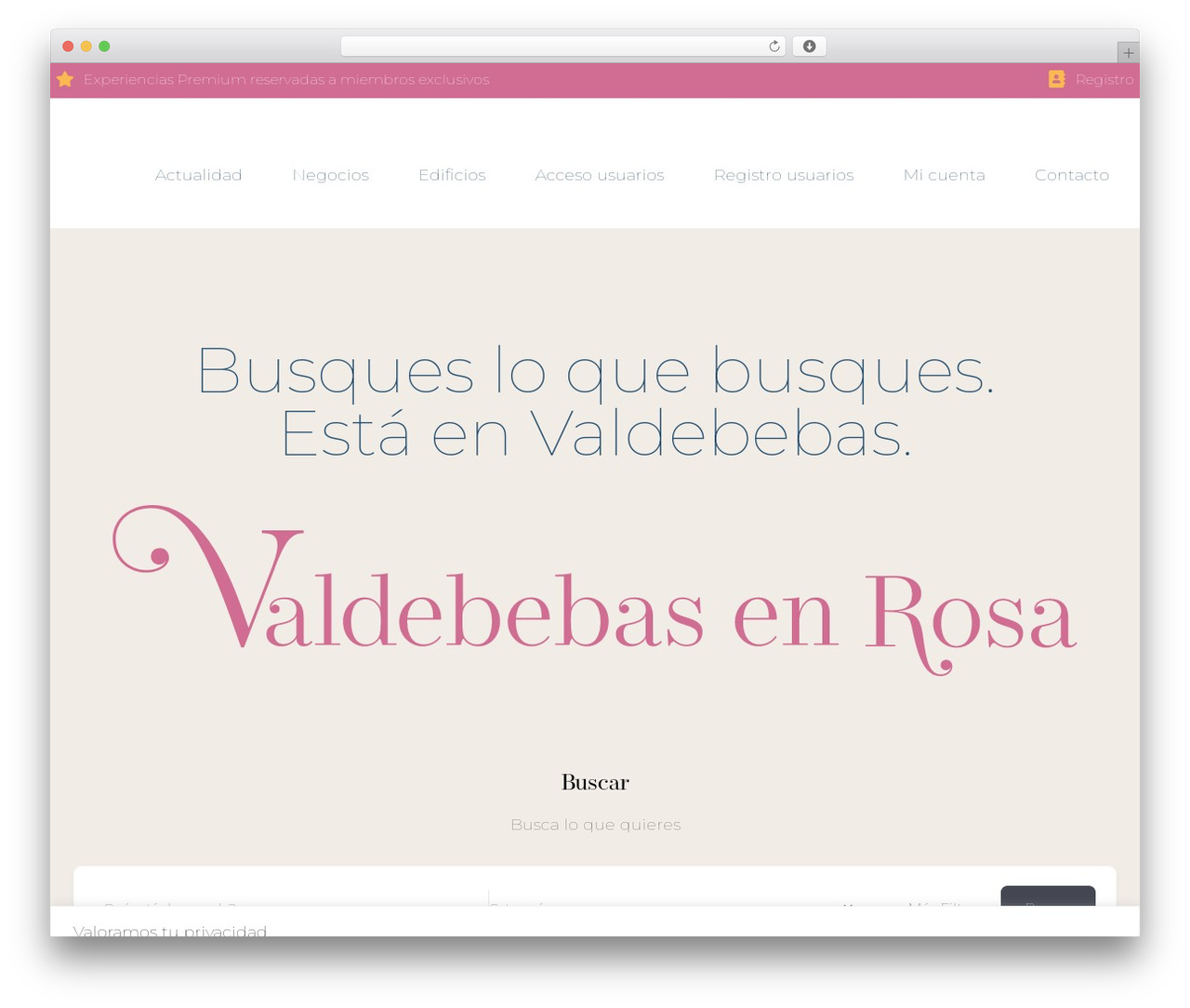 Hello Elementor WordPress theme - valdebebasenrosa.com
