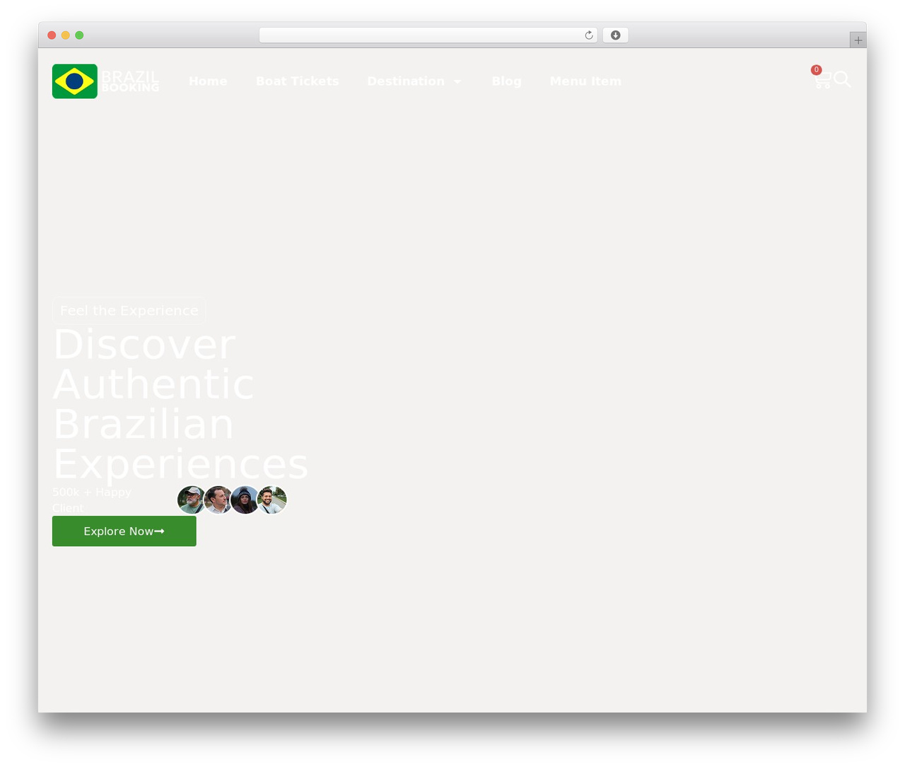 Hello Elementor WordPress theme - brazilbooking.com