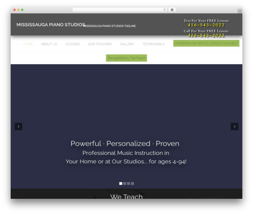 Embedder for google reviews WordPress plugin - mississaugapianostudios.com