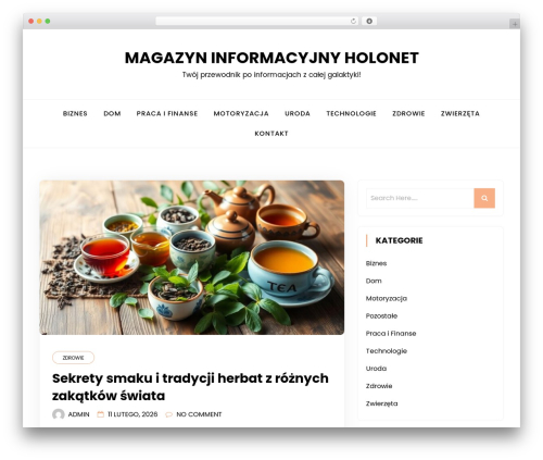 minimalblog WordPress theme - holonet.pl