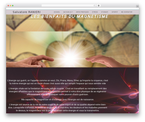Lws affiliation WordPress plugin - therapeute-magnetiseur78.com