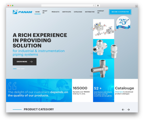 PanAm WordPress theme - panam.in