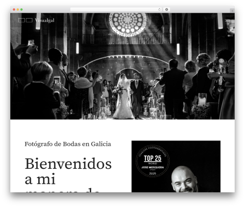 The7 WordPress theme - visualgal.com