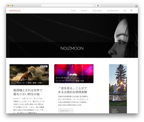 WordPress theme Anima - noizmoon.com