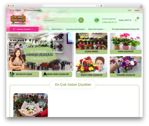WordPress theme Econis - www.ofacicek.com