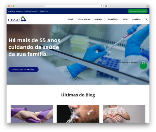 WordPress theme LNSD - labnsdores.com.br