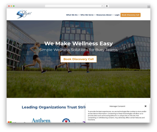 Divi WordPress theme - strive2bfit.com