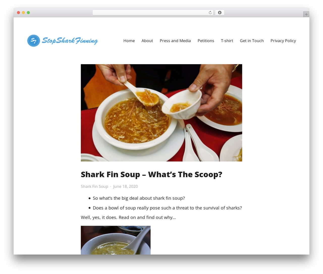 Integer theme WordPress free - stopsharkfinning.net Integer theme WordPress free - stopsharkfinning.net