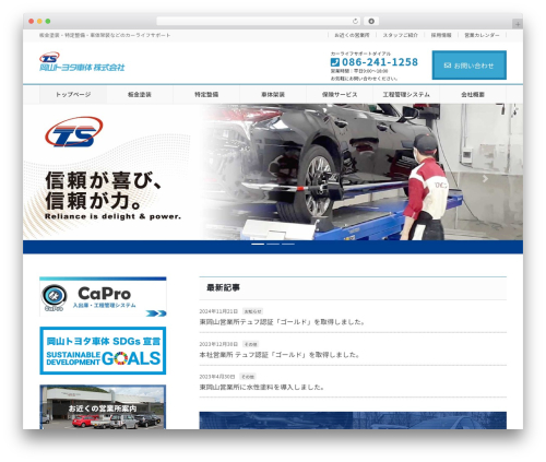 Lightning skin fort WordPress plugin - okabp.com