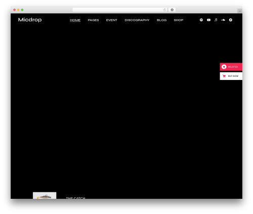 Micdrop WordPress theme - micdrop.qodeinteractive.com