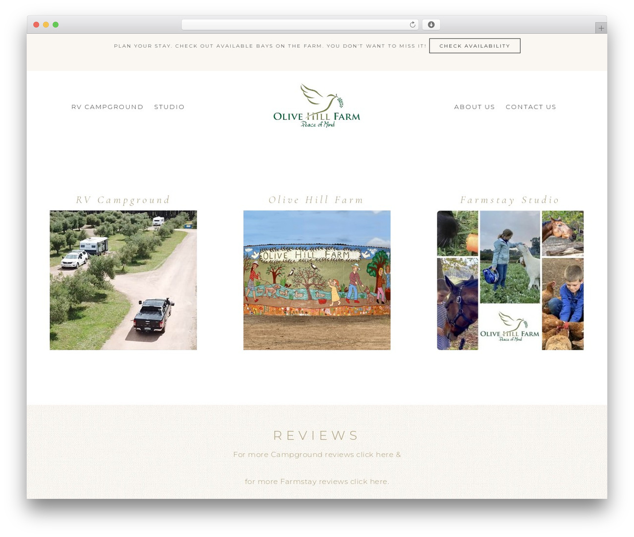 Refined Theme WordPress theme design - olivehillfarm.com.au