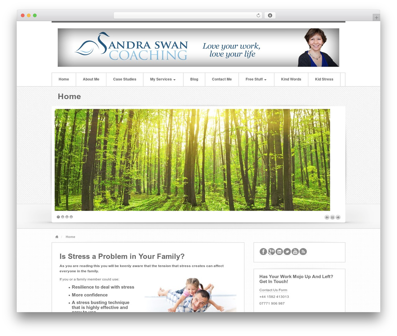Swagger WordPress theme - sandraswancoaching.com