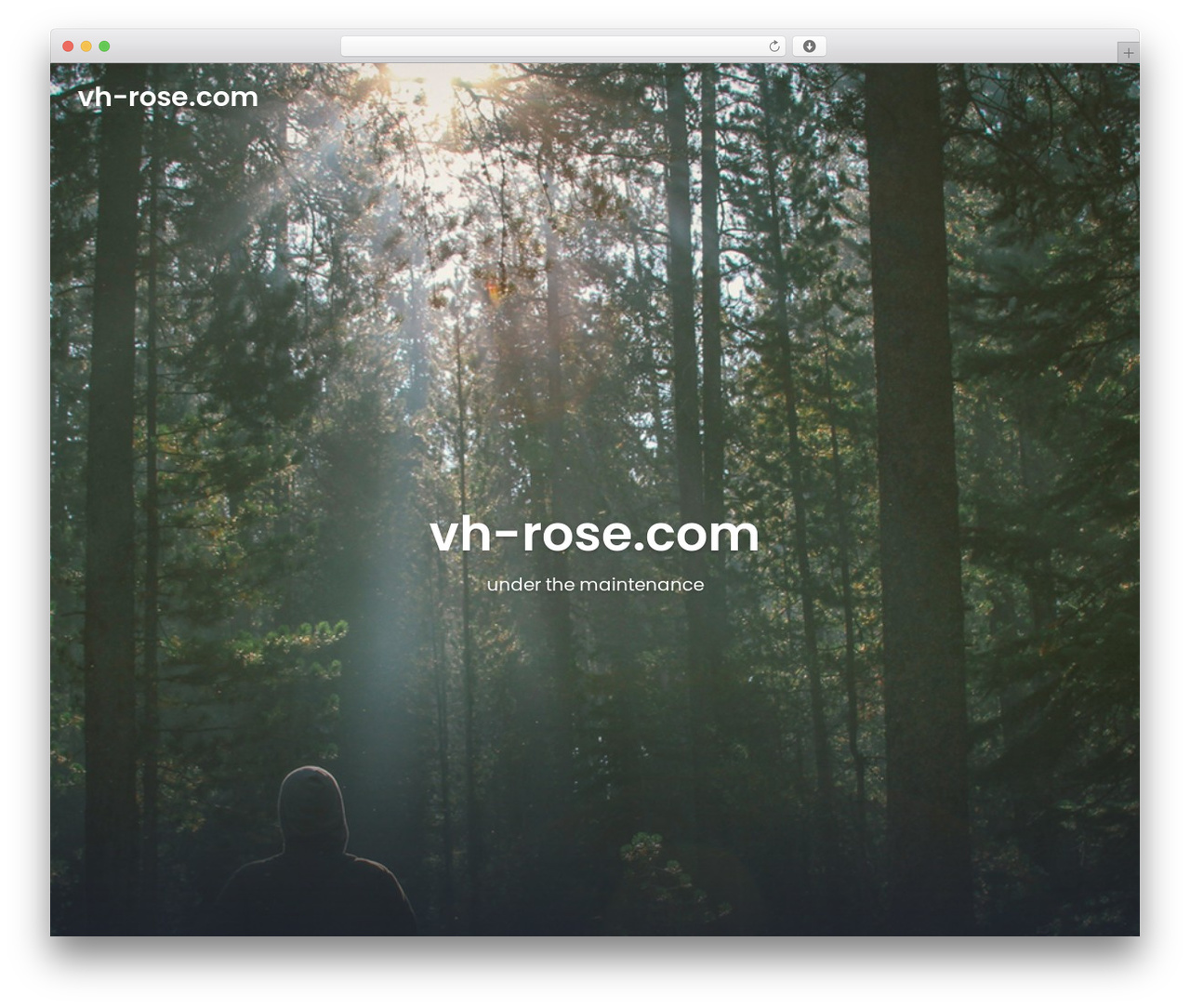 WordPress theme Quick Setuply - vh-rose.com WordPress theme Quick Setuply - vh-rose.com
