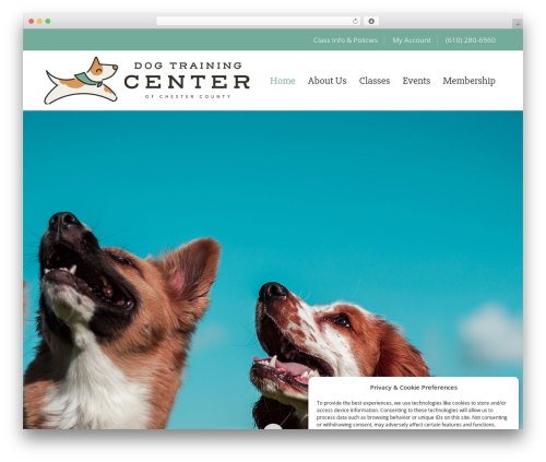 Ark WordPress theme - dtccc.org