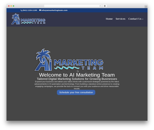 Screenreader WordPress plugin - aimarketingteam.com