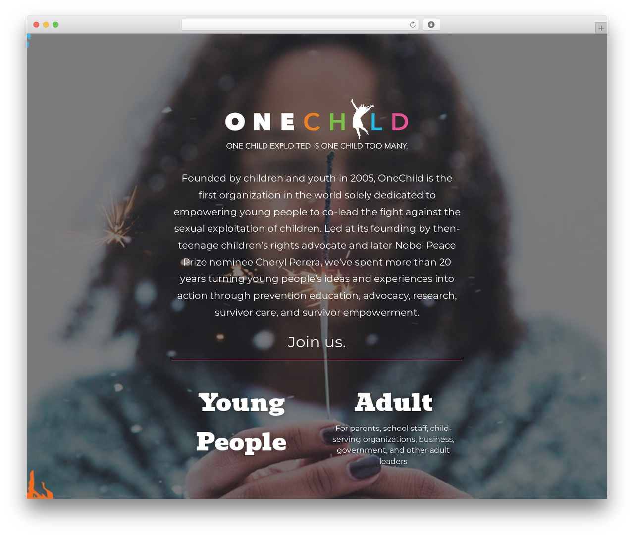 Divi WordPress theme - onechild.ca