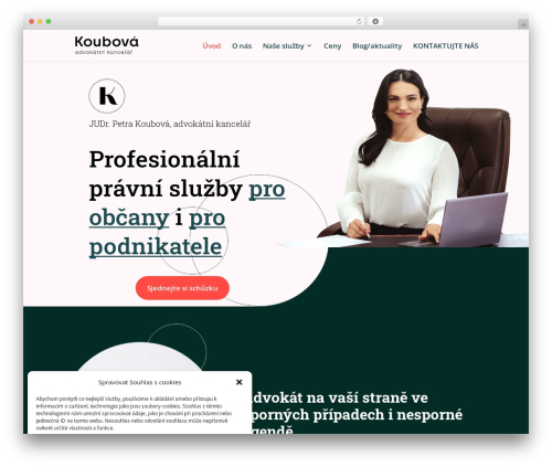 Divi WordPress theme - ak-koubova.cz