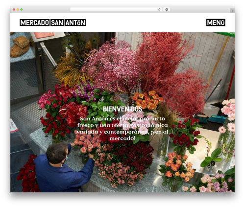 MSA WordPress theme - mercadosananton.com