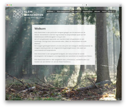 Theme WordPress Divi - kleinboeschoten.org