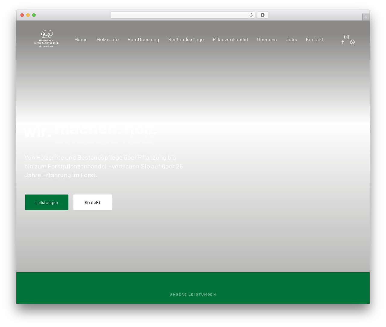 Theme WordPress Ave - forst-service.com