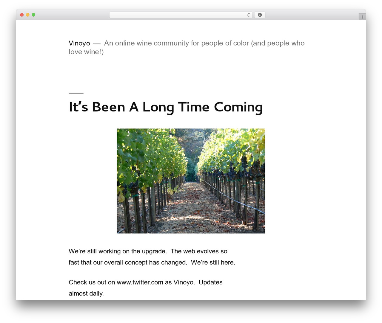 Twenty Nineteen top WordPress theme - vinoyo.com Twenty Nineteen top WordPress theme - vinoyo.com