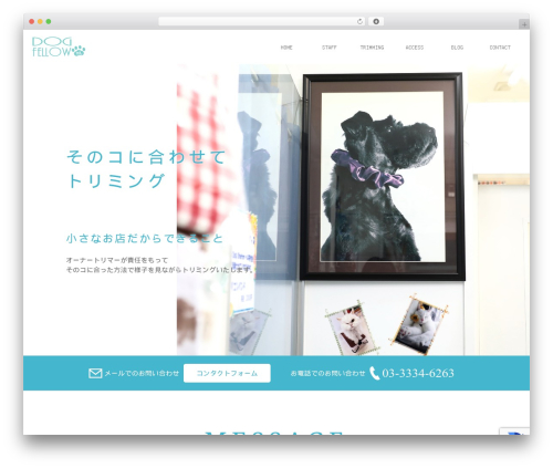 動物病院 theme WordPress - dogfellow.tokyo