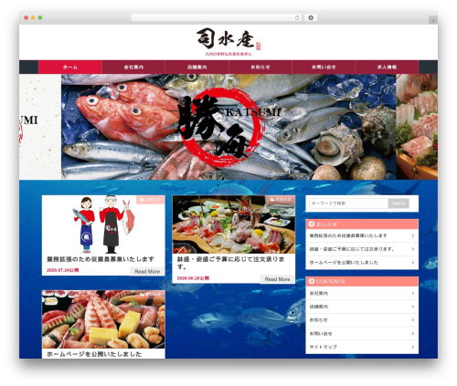 Best WordPress theme COOLWEB WP1650 - tsukasasuisan.net
