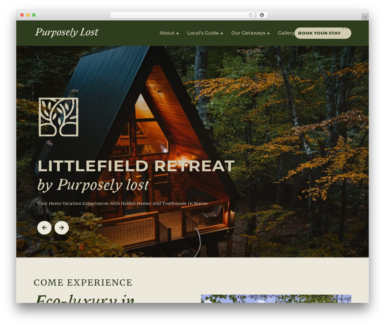 Divi WordPress theme - purposelylost.com Divi WordPress theme - purposelylost.com