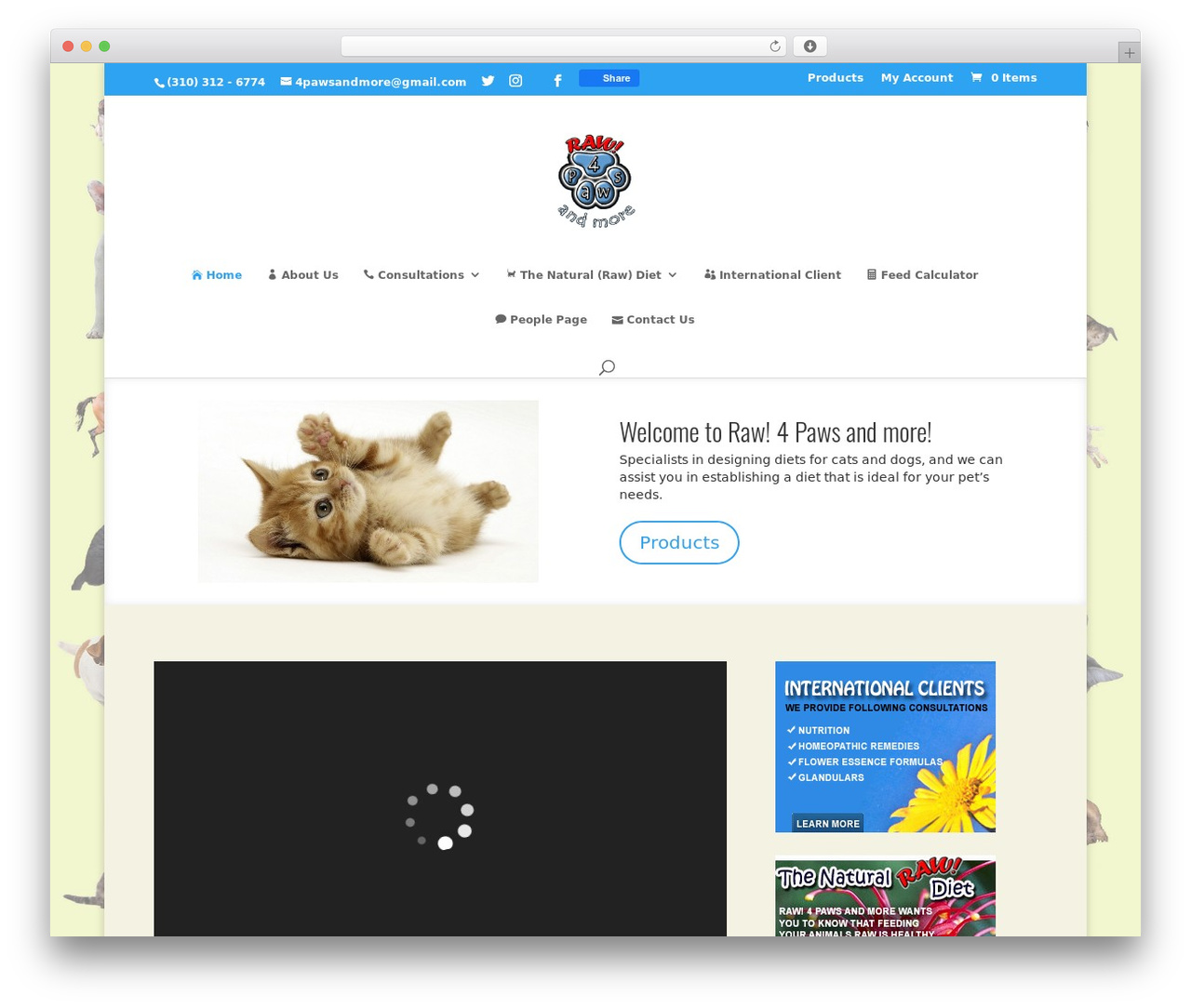 Divi WordPress theme - 4pawsandmore.com