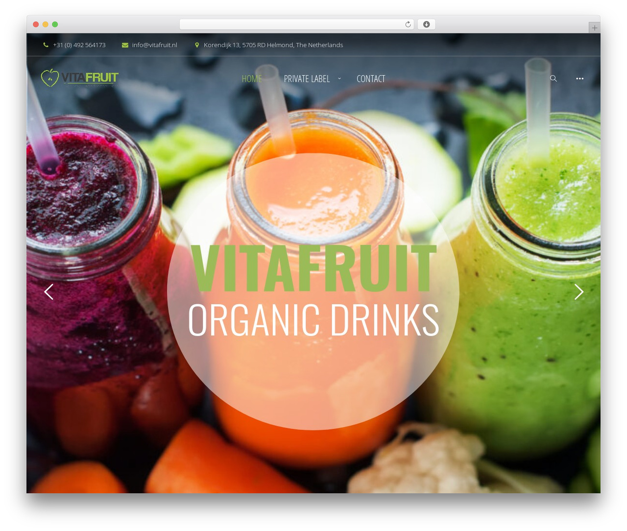 GoGreen WordPress theme - vitafruit.nl