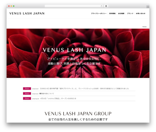 Polo theme WordPress - venus-grp.jp