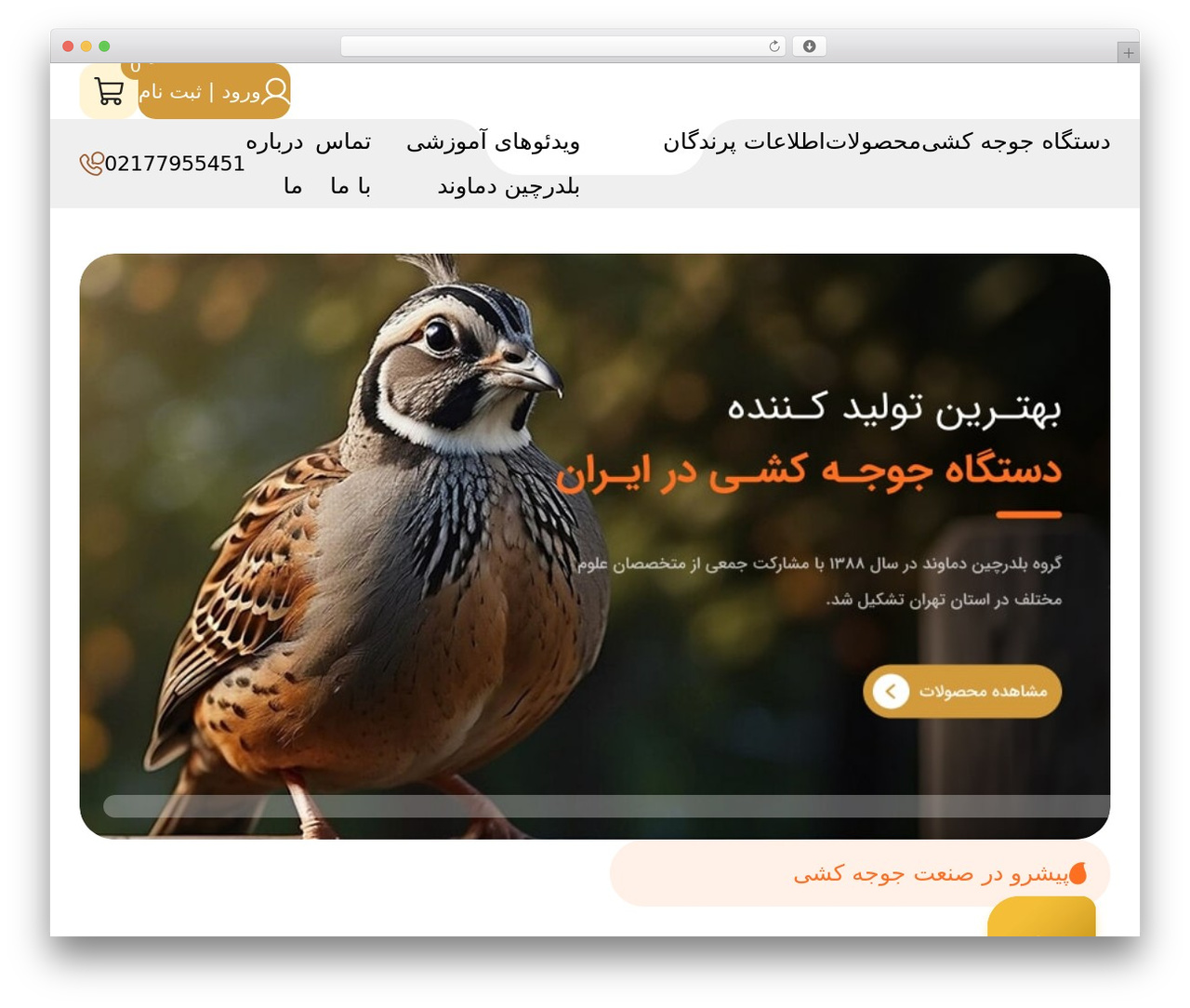 Websima WordPress theme - dquail.com
