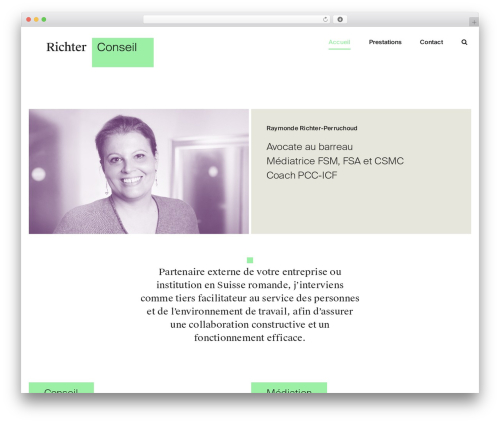 WordPress theme Avada - richter-conseil.ch