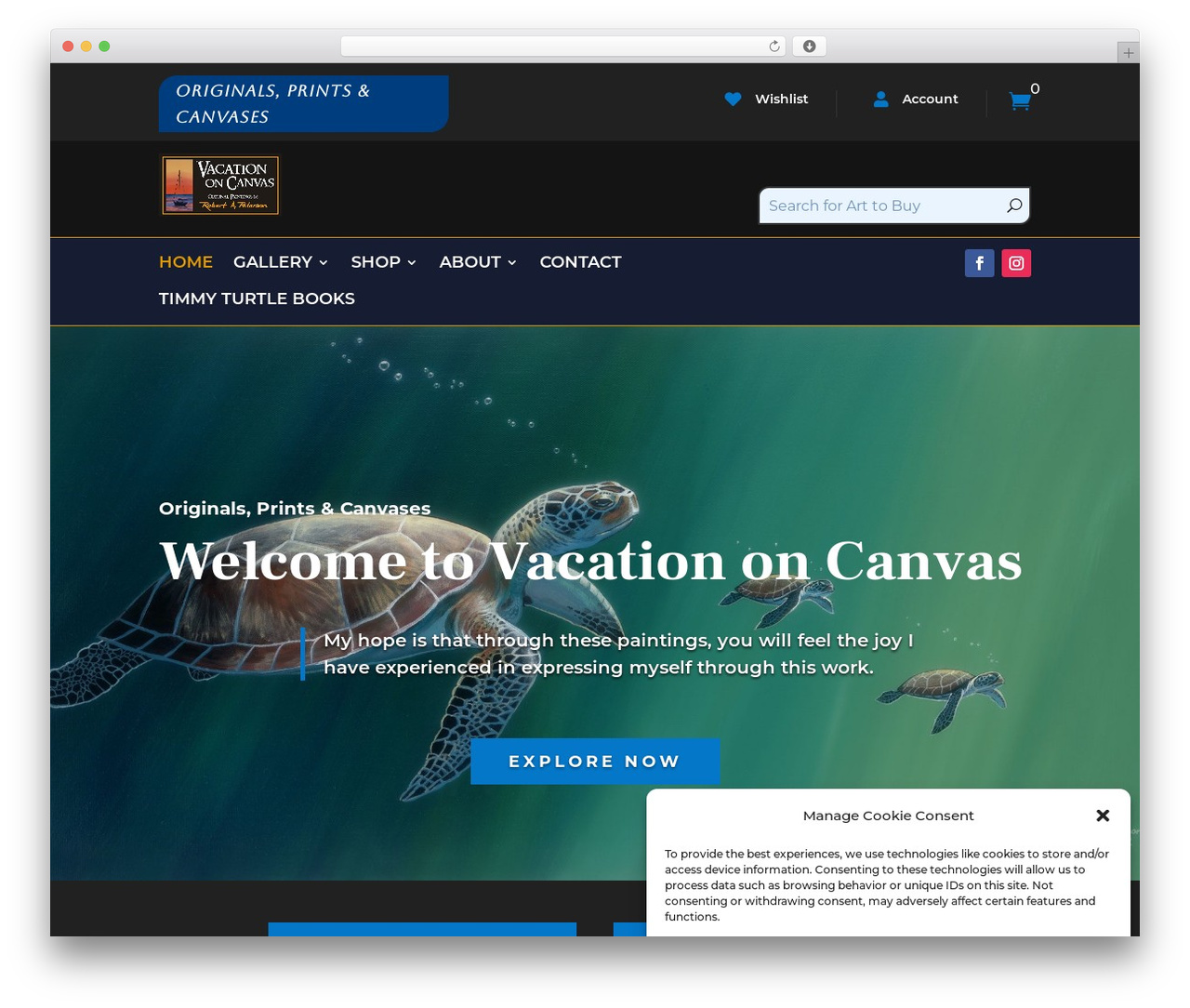 WP theme Divi - vacationoncanvas.com