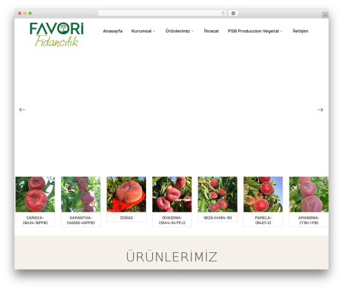Agrikole WordPress theme - favorifidancilik.com