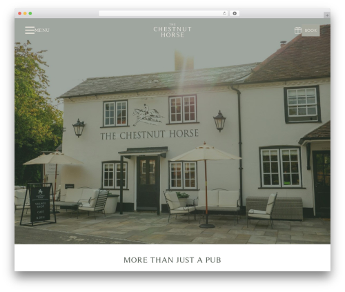 base WordPress shopping theme - thechestnuthorse.com